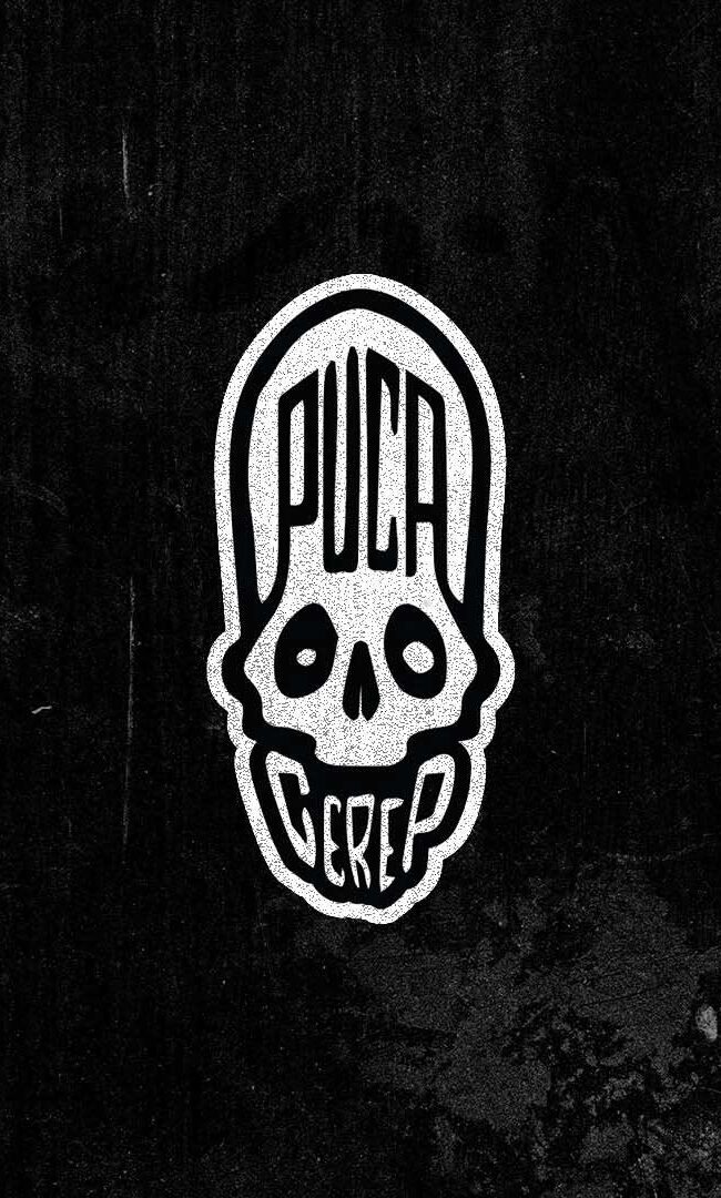 Puca Cerep beatmaker skull logo on black background — logo design by Nebojsa Nask