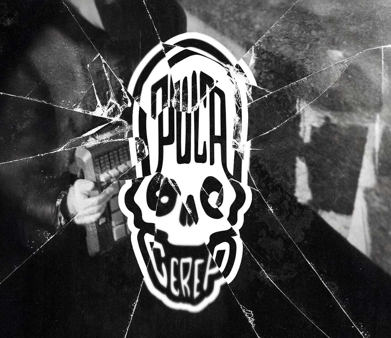 Puca Cerep skull logo over cracked glass texture — dark branding design by Nebojsa Nask