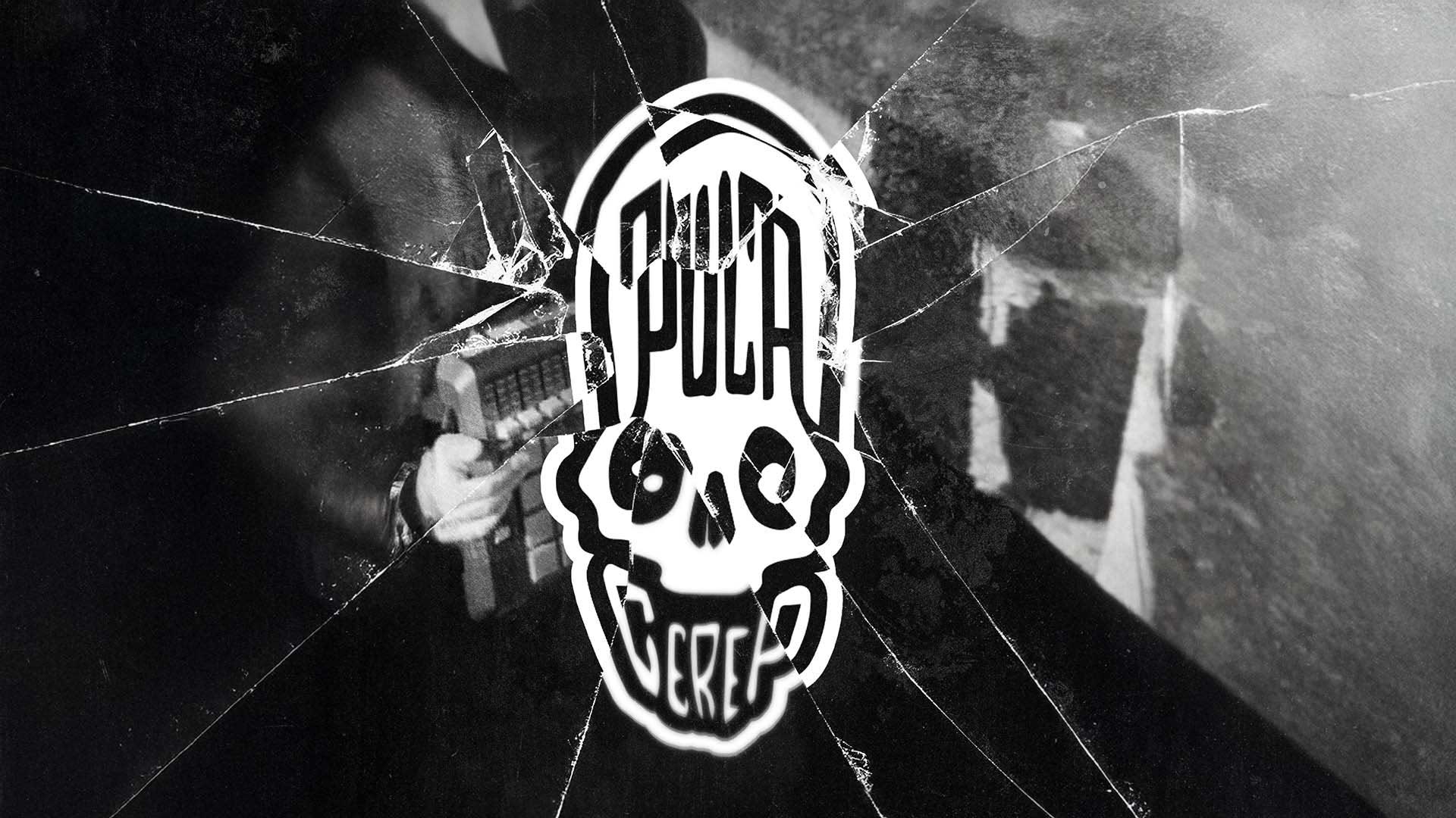 Puca Cerep skull logo over cracked glass texture — dark branding design by Nebojsa Nask